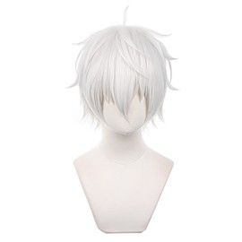 Seijiro Nagi Cosplay Wig, Seijiro Nagi, Anime, Heat Resistant, Costume, Accessory for Parties, Events, Costume, Includes Wig Net