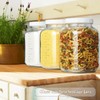 2 Pack 1 Gallon Large Fermentation Jars w 2 SCREW