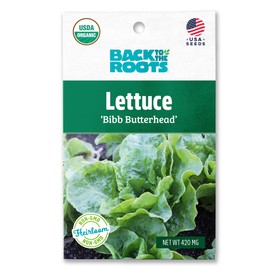 Back to The Roots 100% Organic Seed Packet - Lettuce 'Bibb Butterhead' 420mg