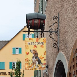 Autumn Fall Beagle Dog Pumpkin Harvest Garden Flag Welcome Party Outdoor Outside Decorations Picks Home House Garden Yard Decor 12x18 Inch