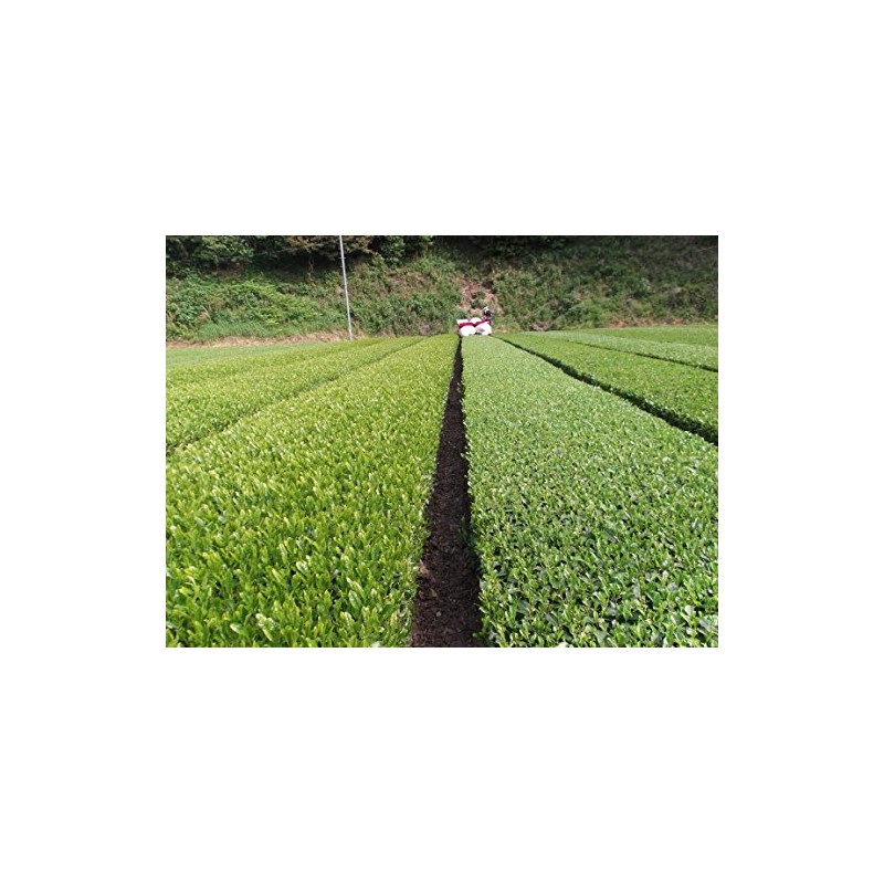 Ureshino Tea Premium Premium Set of 2 (3.5 oz (100