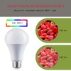 Laborate Lighting A19 LED Light Bulbs - E26, 100W, 1600