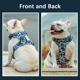 La La Pet® No Pull Dog Harness with Front Clip, Reflective Dog Vest Harness with Handle Floral Neoprene Padded Dog Vest for Puppy Small Medium Large Dogs 3 Snap Buckles Easy to Put on & Take Off