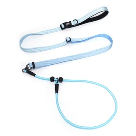 QQPETS Adjustable Slip Lead Dog Leash, Hands Free Waist Leash for Dog Walking, Reflective Training Lead with 360° Swivel Anti-Tangle, 4-7 ft Length for All Breeds