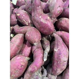 Japanese Yam 3 LBS Fresh Japanese Murasaki Sweet Potatoes Fresh Yam Root Free Shipping