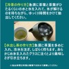 Landscape Dot Com Tokoname Yaki, Large Teapot, No Lid, Green