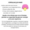 Cápsulas Nutricionales Blen Etherna Juv Nad Vitamina B12 Resveratrol 60