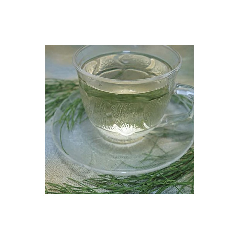 Horsetail Tea Horsetail Tea 100% Herbal Tea Tea Tea Health