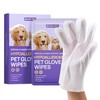 HICC PET Cleaning Deodorizing Glove Wipes for Dogs & Cats,