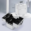 Frenessa Portable Makeup Train Case Organizer with Lock 4 Trays