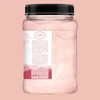 LA SALT CO Kashmir 2.5 Lbs Pink Himalayan Salt Jar,