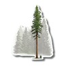 Earth Sky + Water - Coastal Redwood - 3.5″ Sticker