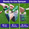 Commercial Grade Lawn Fertilizer with Iron- Liquid Fertilizer Spray- Nitrogen