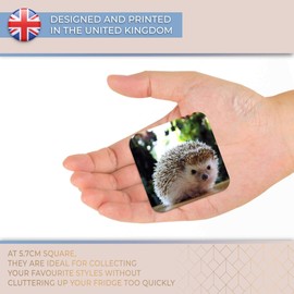 Destination Vinyl ltd Fridge Magnet - Cute Hedgehog Garden Animal for Office, Cabinet and Whiteboard, Magnetic Stickers, 44780