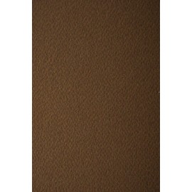 Netuno 10x Coloured Cardboard, Dark Brown, Textured on One Side, DIN A4, 210 x 297 mm, 220 g, Prism Caffe Coloured Cardboard, Embossed Card Cardboard, Colourful with Embossing, Craft Cardboard,