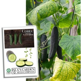 Cobra Cucumber Seeds for Planting, 25+ Seeds Per Packet, (Isla's Garden Seeds), Non GMO Seeds, Botanical Name: Cucumis sativus, Great Home Garden Gift