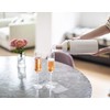 Vinglacé Wine Bottle Chiller- Portable Champagne Insulator- Stainless Steel Wine