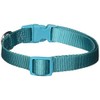 Zack & Zoey ⅝" Wide Nylon Dog Collar, Fits Necks