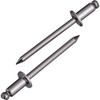 LOBTEX NST64MP Blind Rivets Eco Pack Stainless Steel/Stainless Steel 6-4