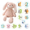 JP-SAKURA (Genuine Product) First Toy, Bear, Japanese Inspected Plush, My
