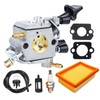 FWYWNL Carburetor BR350 for Stihl BR430 BR450 BR450C-EF SR430 SR450