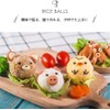 Gammaeon Sushi and Onigiri Rice Ball Shaper Set, Rice Mould