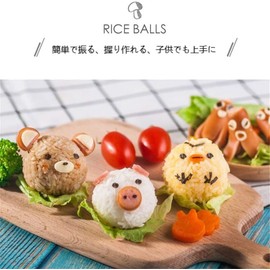 Gammaeon Sushi and Onigiri Rice Ball Shaper Set, Rice Mould with Rice Spoon, Kitchen Accessories