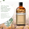 PHATOIL Frankincense (Incense) 100ml Aroma Oil Essential Oil Pure Oil