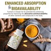 Rosmolo 1500 MG Palmitoylethanolamide with Luteolin 98% & Turmeric, High