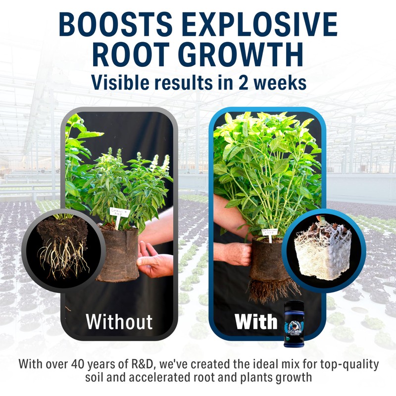Great White Mycorrhizal Fungi, Beneficial Bacteria for Plant Growth, Root