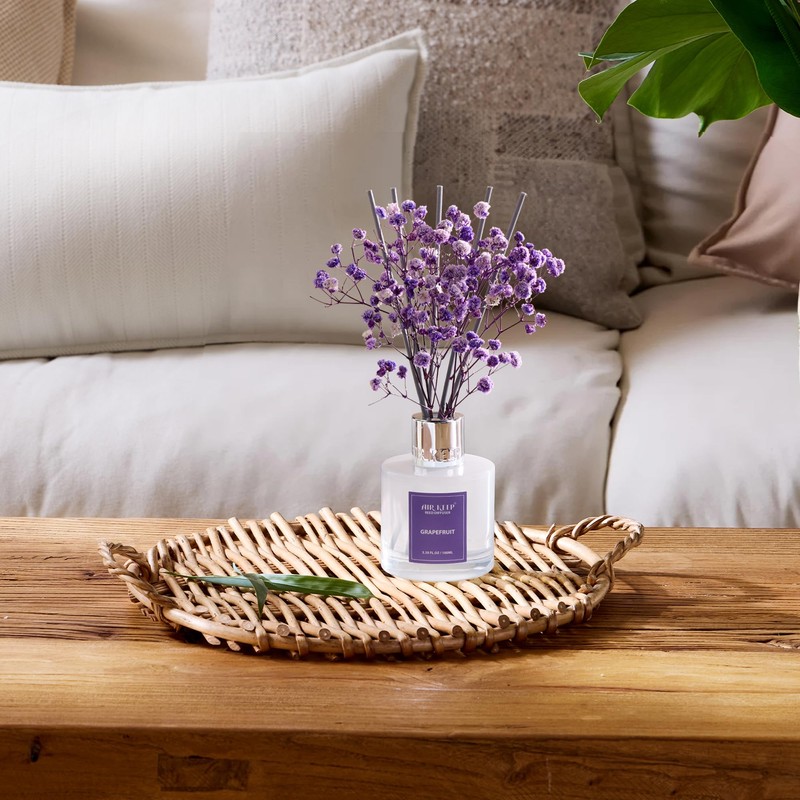 Airkeep Reed Diffuser Set,3.38 fl oz (100 ml) - Grapefruit