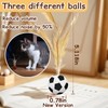 Zeeptix 12PCS Interactive Cat Feather Ball Toys Set - Bouncy