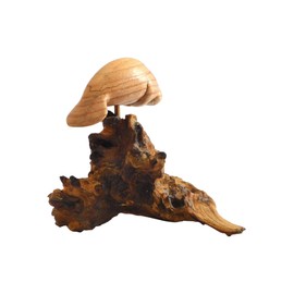 Brave Wings Hand Carved Wooden ~ Walrus Adventure 15cm High ~ Ornament Sculpture Figurine Statue Unique Table Decoration Home Decor ~ 5554