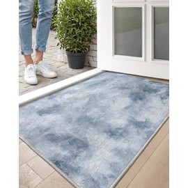 DEXI Front Door Mat for Entryway, 31x47, Entry Mats Home Entrance, Thin Non-Slip Absorbent Low Profile Non-Shedding Chenille Doormat for Inside House, Garage, Patio, Blue