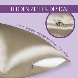 Olesilk 100% Silk Pillow Case / Pillow Cover, Gentle on Hair and Skin, with Concealed Zip, 19 Momme, 1 Item
