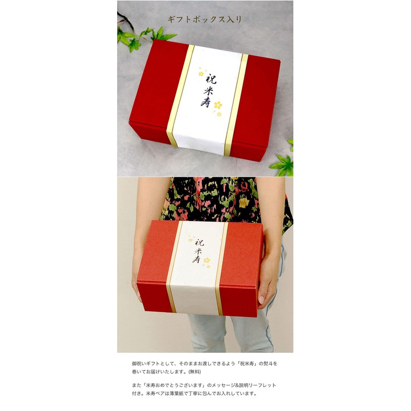 Petilu Yoneju Bear 4S Mascot (Metal Folding Screen Case)