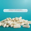 Matter Folixol Suplemento Acido Folico Folato Activo Quatrefolic Mthf Trimetilglicina