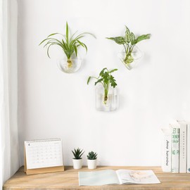 Mkono Wall Planter Propagation Stations Hanging Glass Terrariums Vase Container for Propagating Hydroponic Plants Flowers Home Office Living Room Bathroom Garden Decor, 3 Pack