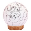 Round Ball Shape Humidifier Aromatherapy Diffuser 7 Colors LED Night
