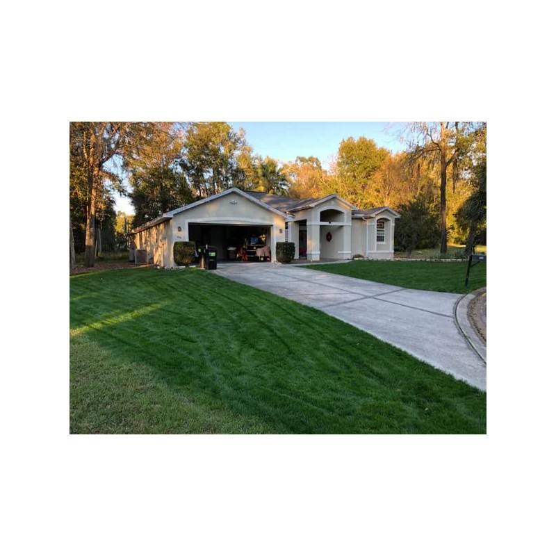 Lesco Double Eagle Perennial Ryegrass Seed Blend (1 Lb.)