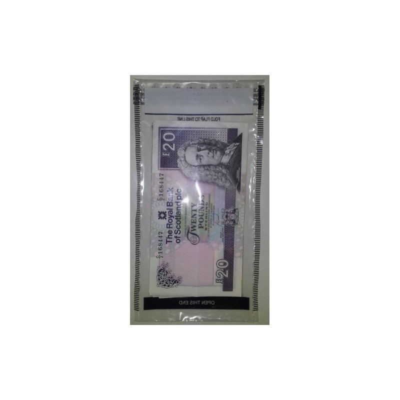 100 x Plastic Tamper Evident Note / Money / Bank