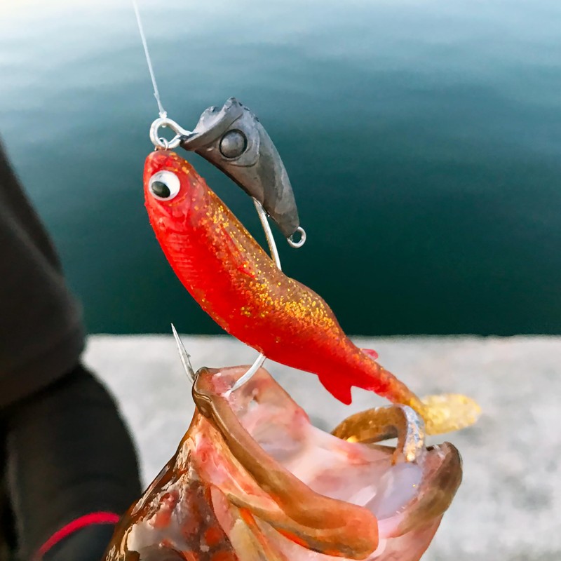 ルーディーズ ハタ喰い魚子（ぎょし） 3.5in アカキン