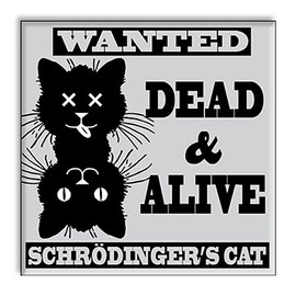 Dishwasher Magnet Clean Dirty Sign, Strong Clean and Dirty Magnet for Dishwasher (Funny Schrodinger's Cat)