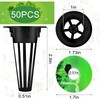 Cunhill 100 Pcs Hydroponic Growing Kit Include 50 Pcs Plant