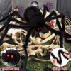 200" Halloween Spider Web & 59" Giant Spider Decorations