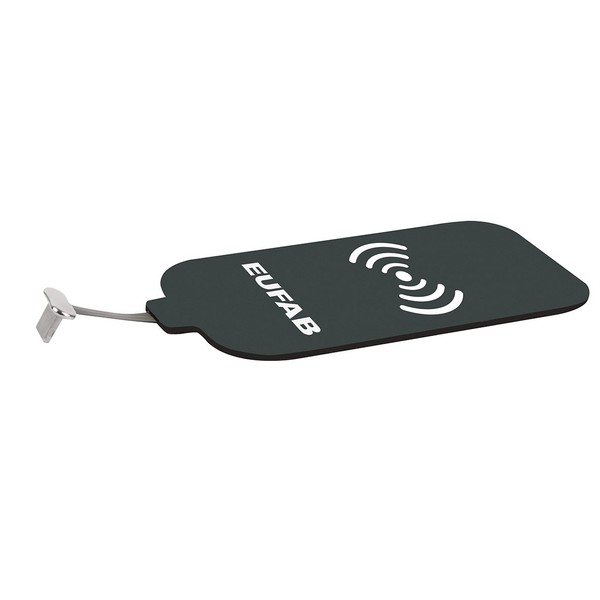 EAL 16450 Receiver for Induction Charger Lightning