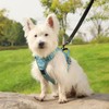 Belababy Medium Dog Harness, Anti Pull Dog Harness with Soft