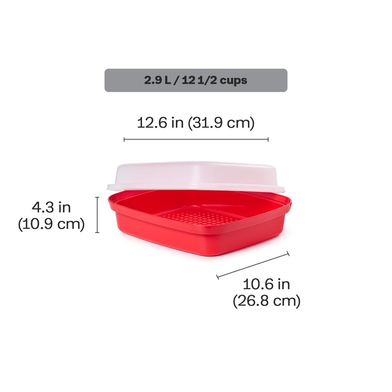 Tupperware Season-Serve Marinating Container, Dishwasher Safe and BPA Free Container