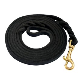 Guiding Star Leather Dog Leash for Small Dogs 6 ft Up to Medium Dogs (1/3 inch Wide, 6 Feet, Black)