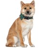 Collar de perro de Navidad, copo de nieve, clásico a